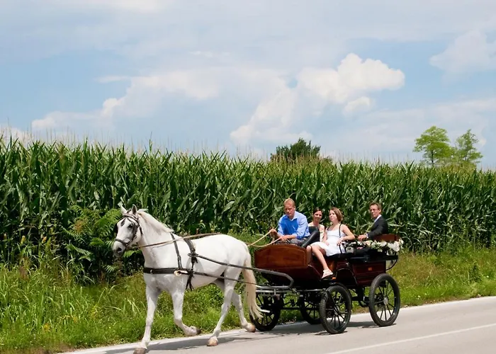 Hotel Gelindo Dei Magredi Vivaro